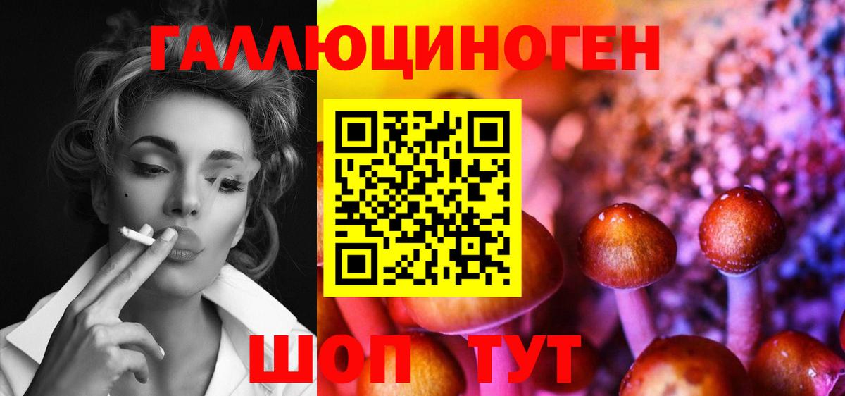 Галлюциногенные грибы Magic Shrooms  Вход с VPN  Шахты  Галлюциногенные грибы мухоморы 